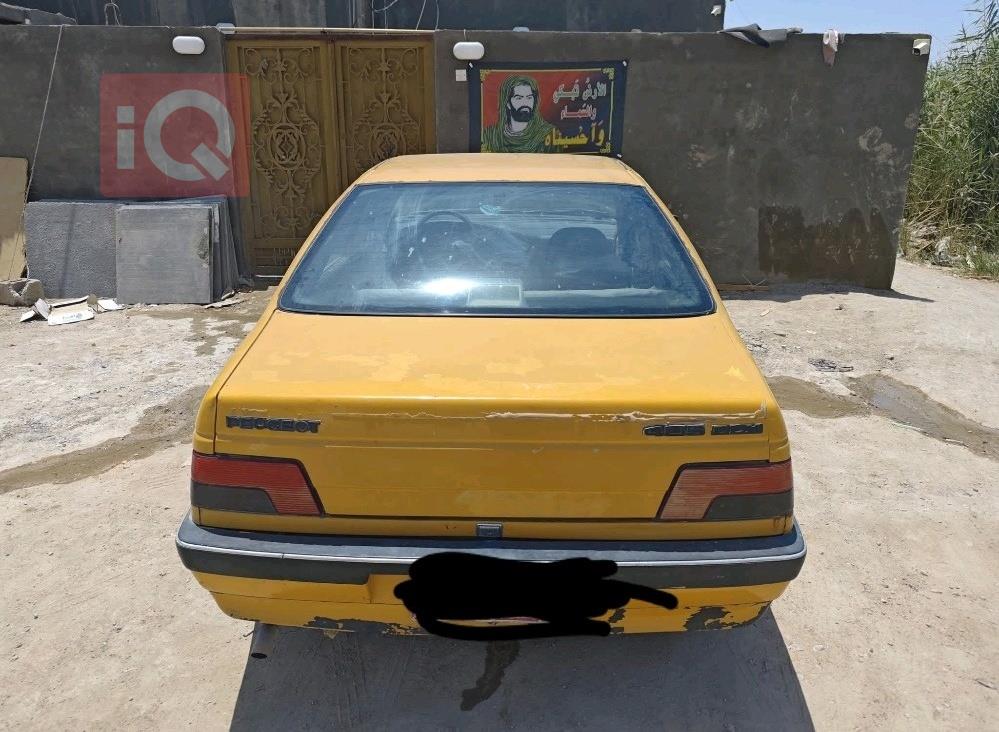 بیجۆ 405
